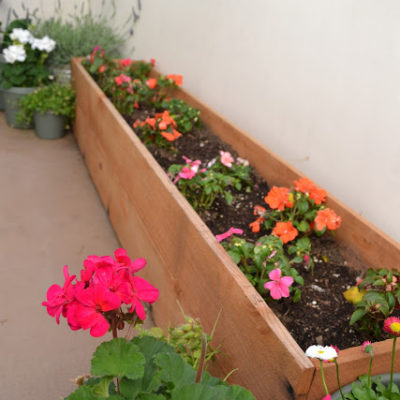 Fence Post Planter and Our Patio