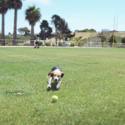 Annabelle’s favorite pastime