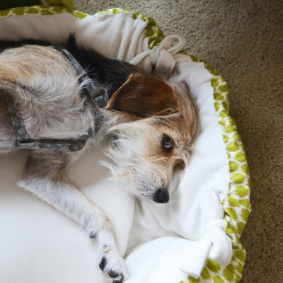 DIY Christmas Gifts: Round Pet Bed