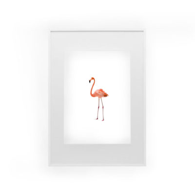 Hump day giveaway | Flamingo Printable