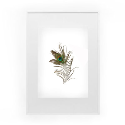 Hump Day Giveaway | Peacock Feather Printable