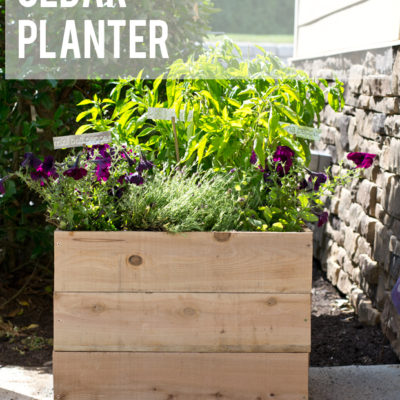 Easy DIY Cedar Planter